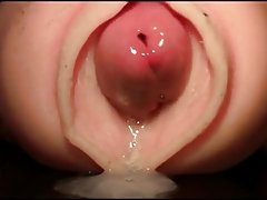 Name video - Sierra sanders reibt ...