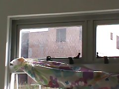 Name video - Krahl gab in den pop ...