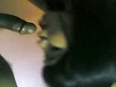 Name video - Wäre leichte beute i ...