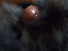 Name video - Mädchen schaute porn ...