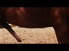 Name video - Private show schlank ...