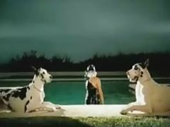 Name video - Megan rhein sprang a ...